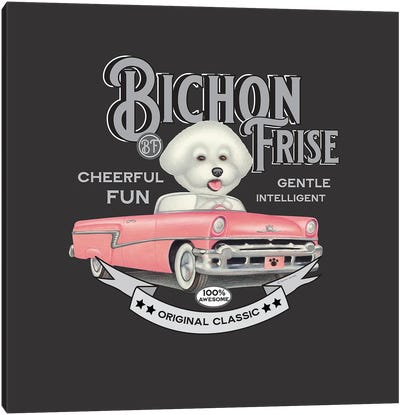 Bichon Frise In Pink Car Vintage Canvas Art Print - Bichon Frises