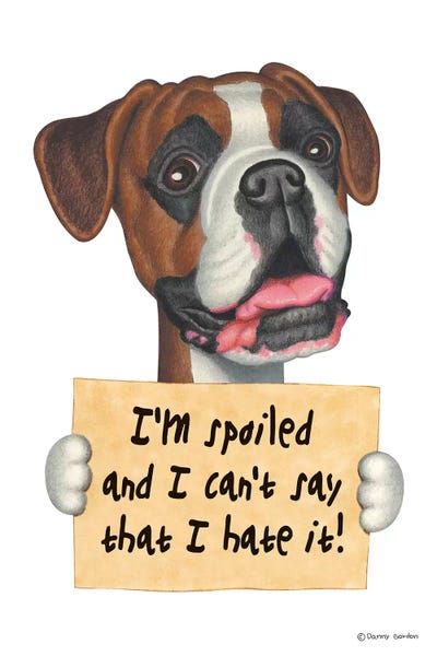 Boxers: Boxer I'm Spoiled by Danny Gordon