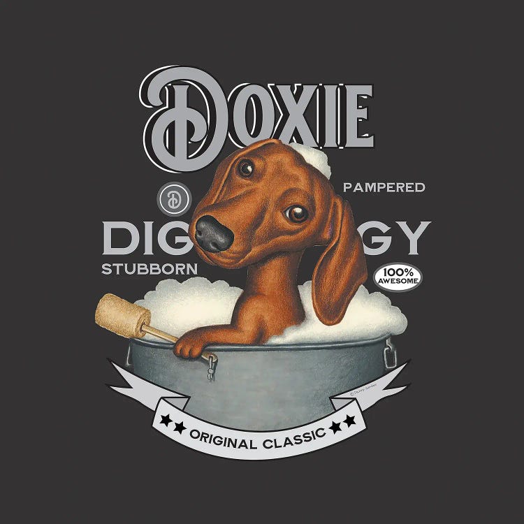 Dachshund In Bath Tub Vintage