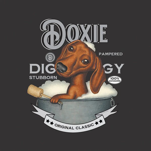 Dachshunds: Dachshund In Bath Tub Vintage by Danny Gordon