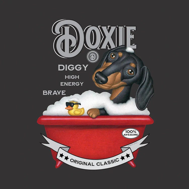 Black Dachshund Red Tub Vintage