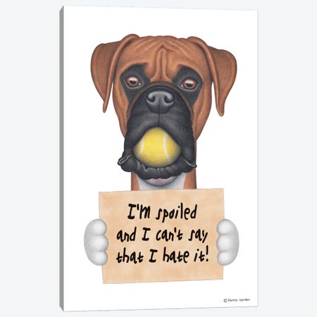Boxer I'm Spoiled With Tennis Ball Canvas Print #DNG24} by Danny Gordon Canvas Artwork
