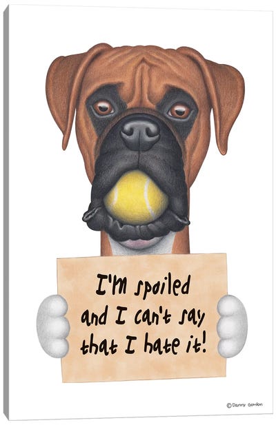 Boxer I'm Spoiled With Tennis Ball Canvas Art Print - Danny Gordon