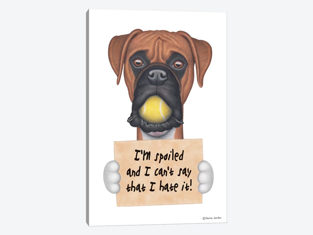 Boxer I'm Spoiled With Tennis Ball by Danny Gordon 1-piece Art Print