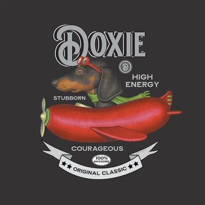 Black Dachshund In Plane Vintage by Danny Gordon canvas print