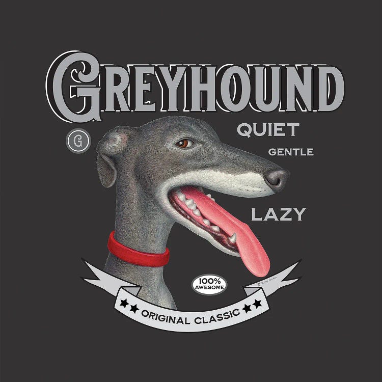 Grey Greyhound Red Collar Vintage