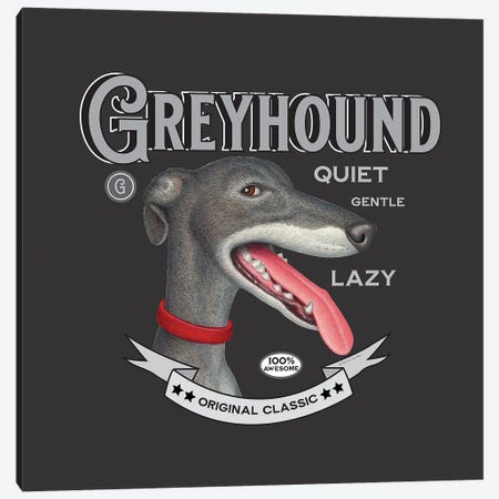 Grey Greyhound Red Collar Vintage Canvas Print #DNG254} by Danny Gordon Art Print