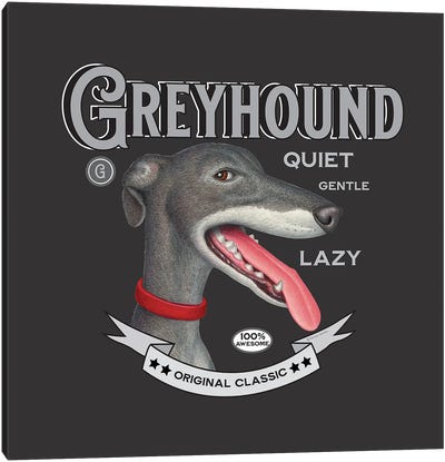 Grey Greyhound Red Collar Vintage Canvas Art Print