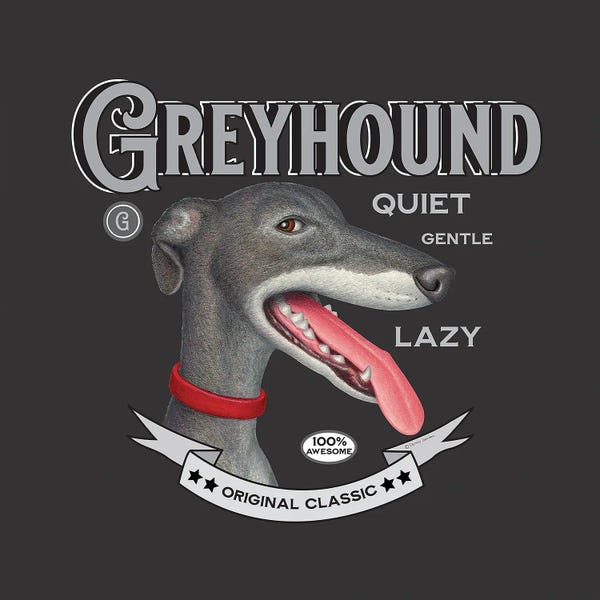 Greyhounds: Grey Greyhound Red Collar Vintage by Danny Gordon