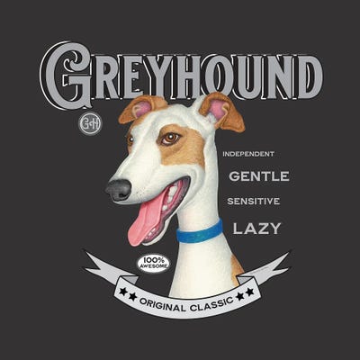 Tan White Greyhound Vintage by Danny Gordon canvas print