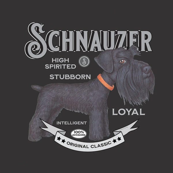 Schnauzers: Black Schnauzer Orange Collar Vintage by Danny Gordon