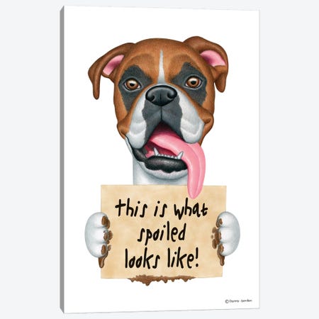 Boxer Spoiled Looks  Like Canvas Print #DNG25} by Danny Gordon Canvas Art
