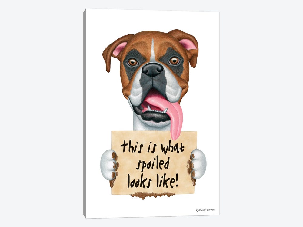 Boxer Spoiled Looks  Like by Danny Gordon 1-piece Canvas Artwork