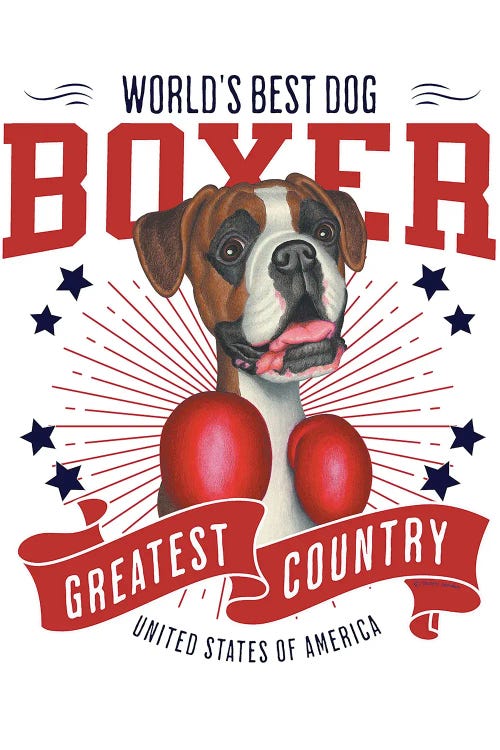 Boxing Boxer Dog USA