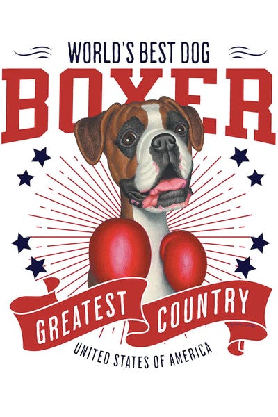 Boxers: Boxing Boxer Dog USA by Danny Gordon