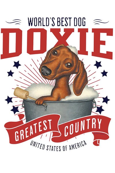 Dachshund Bubble Bath USA by Danny Gordon metal wall art