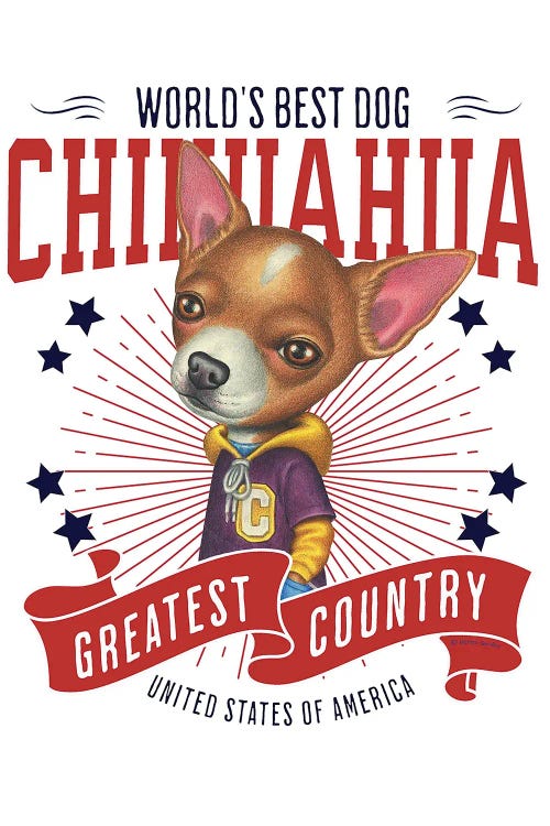 Chihuahua Hoodie USA by Danny Gordon wall art