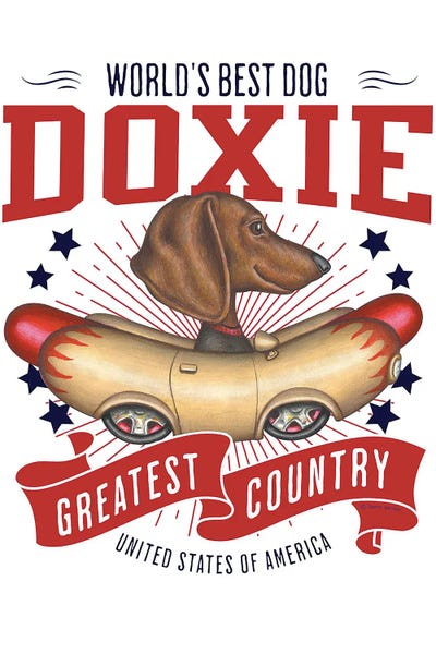 Dachshund Hotdog Car USA by Danny Gordon metal wall art