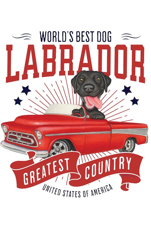 Black Lab Red Truck USA
