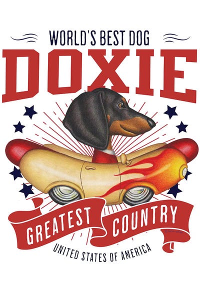 Dachshund Flame Hotdog Car USA by Danny Gordon metal wall art
