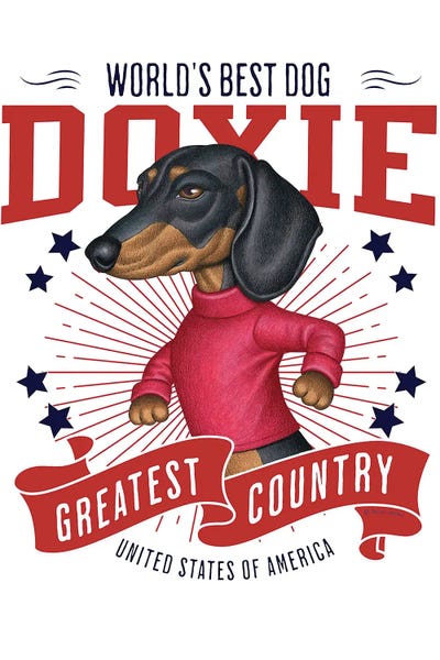 Dachshunds: Black Dachshund Red Sweater USA by Danny Gordon