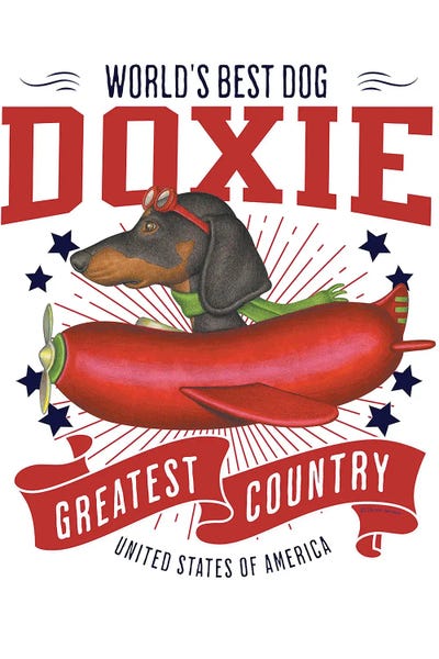 Dachshunds: Black Dachshund Sausage Plane USA by Danny Gordon