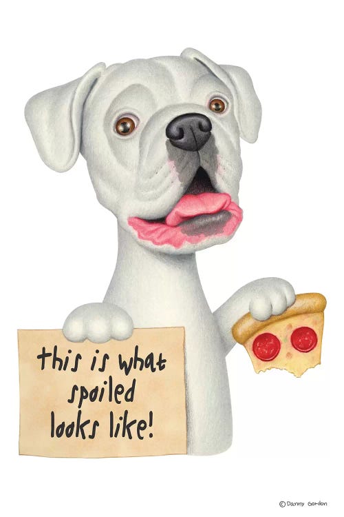 Boxer Spoiled Looks Like With Pizza by Danny Gordon wall art