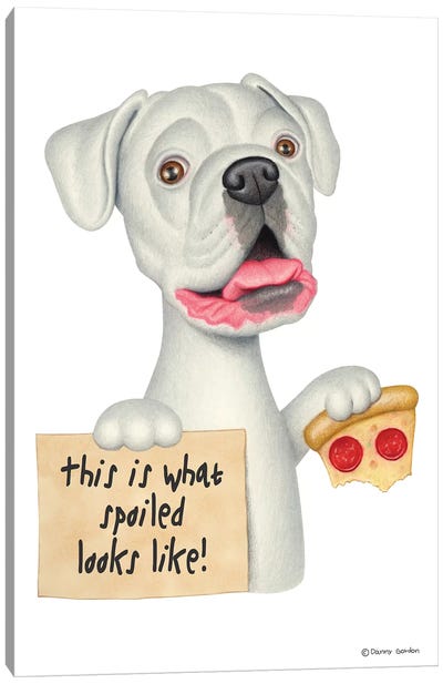 Boxer Spoiled Looks Like With Pizza Canvas Art Print - Danny Gordon