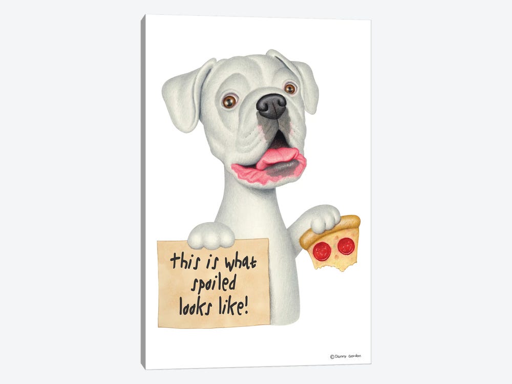Boxer Spoiled Looks Like With Pizza by Danny Gordon 1-piece Canvas Art Print