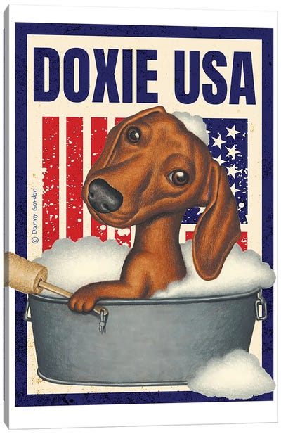 Dachshund Bubble Bath USA Flag Canvas Art Print - Danny Gordon
