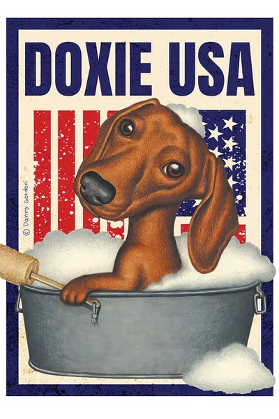 Dachshunds: Dachshund Bubble Bath USA Flag by Danny Gordon