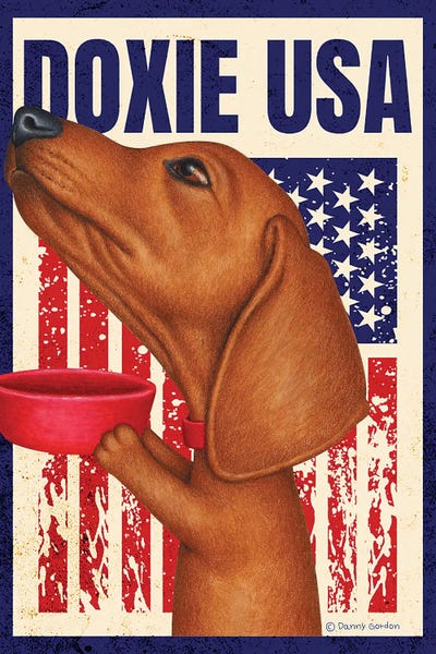 Dachshund Red Bowl USA Flag by Danny Gordon metal wall art