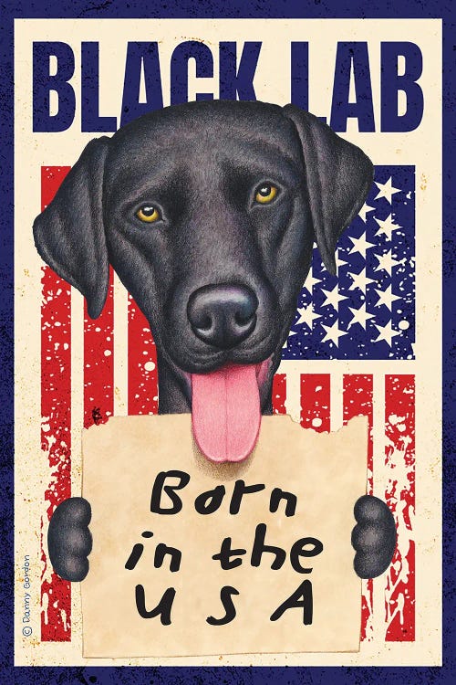Black Lab Born In USA Flag