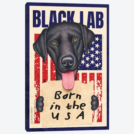 Black Lab Born In USA Flag Canvas Print #DNG274} by Danny Gordon Canvas Print