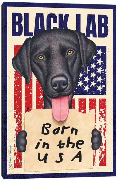 Black Lab Born In USA Flag Canvas Art Print - Danny Gordon