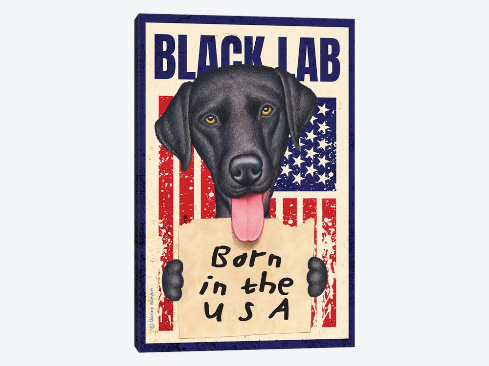 Black Lab Born In USA Flag by Danny Gordon 1-piece Canvas Art
