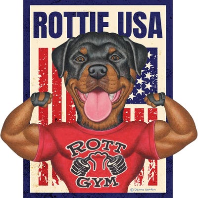 Rottweiler Rott Gym USA Flag by Danny Gordon framed wall art