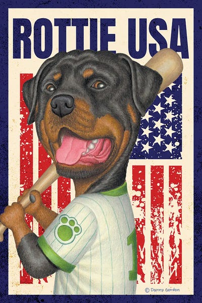 Rottweilers: Rottweiler Baseball USA Flag by Danny Gordon
