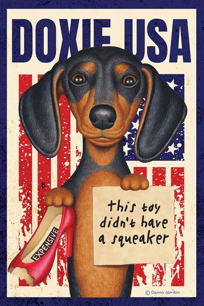 Dachshunds: Black Dachshund Red Shoe USA Flag by Danny Gordon