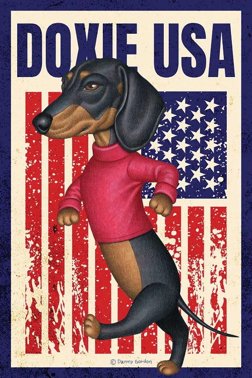 Black Dachshund Walking  Up USA Flag
