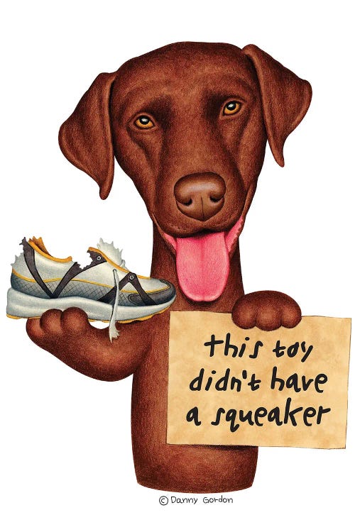 Chocolate Lab No Squeaker