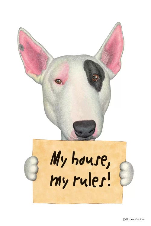 Bull Terrier by Danny Gordon wall art