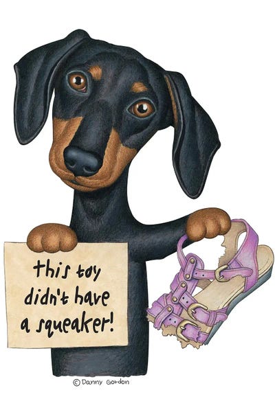 Dachshunds: Black Dachshund Purple Chewed Sandal by Danny Gordon