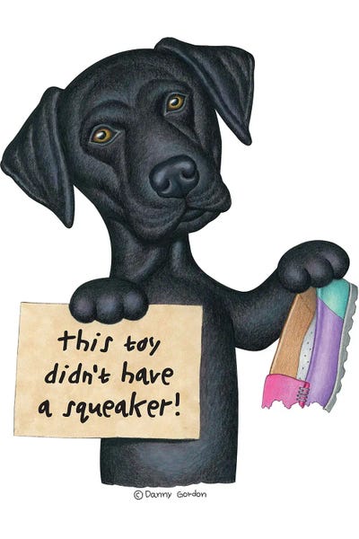 Black Lab Chewed Shoe by Danny Gordon canvas print