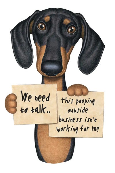 Dachshunds: Bob We Need To Talk by Danny Gordon
