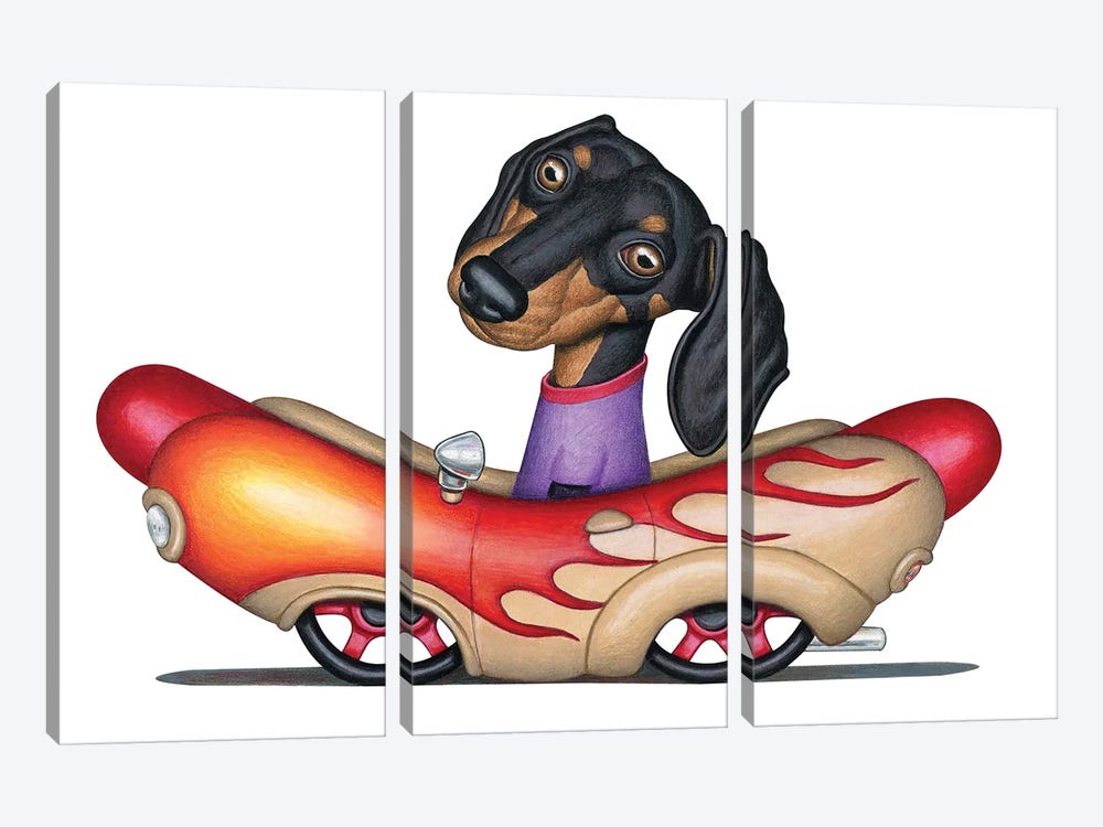 Landis Wiener Flame Car by Danny Gordon 3-piece Canvas Wall Art