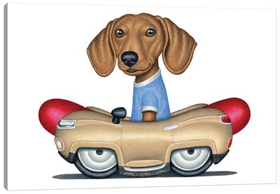 Buster Dachshund Hot Dog Car Canvas Art Print - Danny Gordon