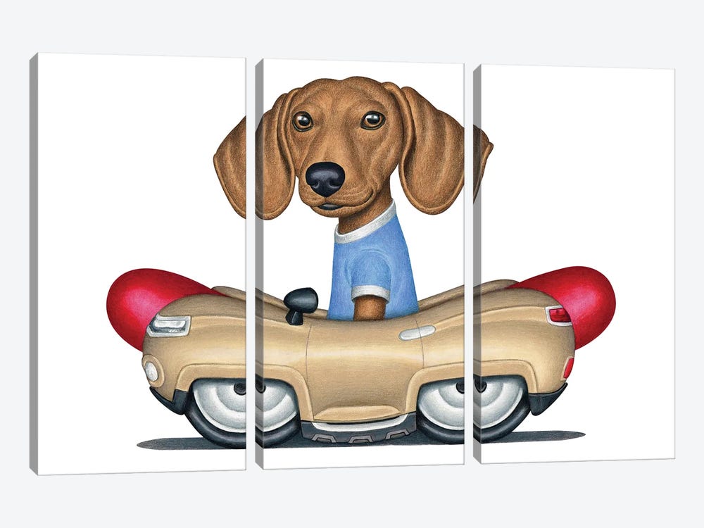 Buster Dachshund Hot Dog Car by Danny Gordon 3-piece Canvas Artwork