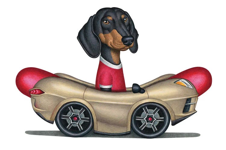 Boris Dachshund In Hot Dog Car