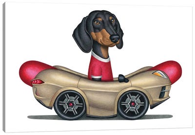 Boris Dachshund In Hot Dog Car Canvas Art Print - Danny Gordon